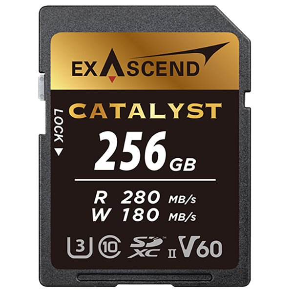 کارت حافظه SD اکساسند مدل Catalyst کلاس 10 استاندارد UHS-II U3 سرعت 280MBps ظرفیت 256 گیگابایت