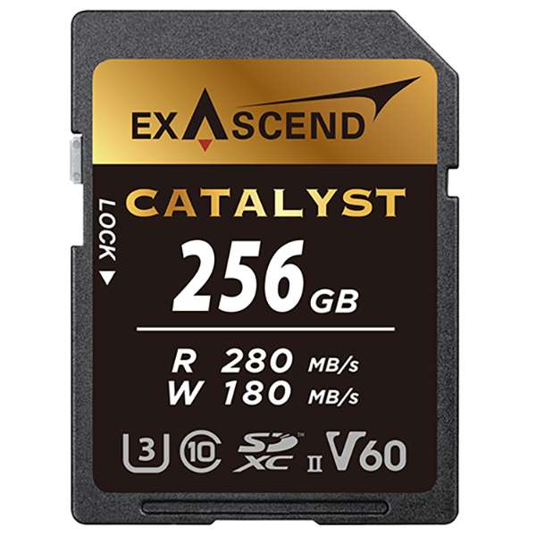 کارت حافظه SD اکساسند مدل Catalyst کلاس 10 استاندارد UHS-II U3 سرعت 280MBps ظرفیت 256 گیگابایت