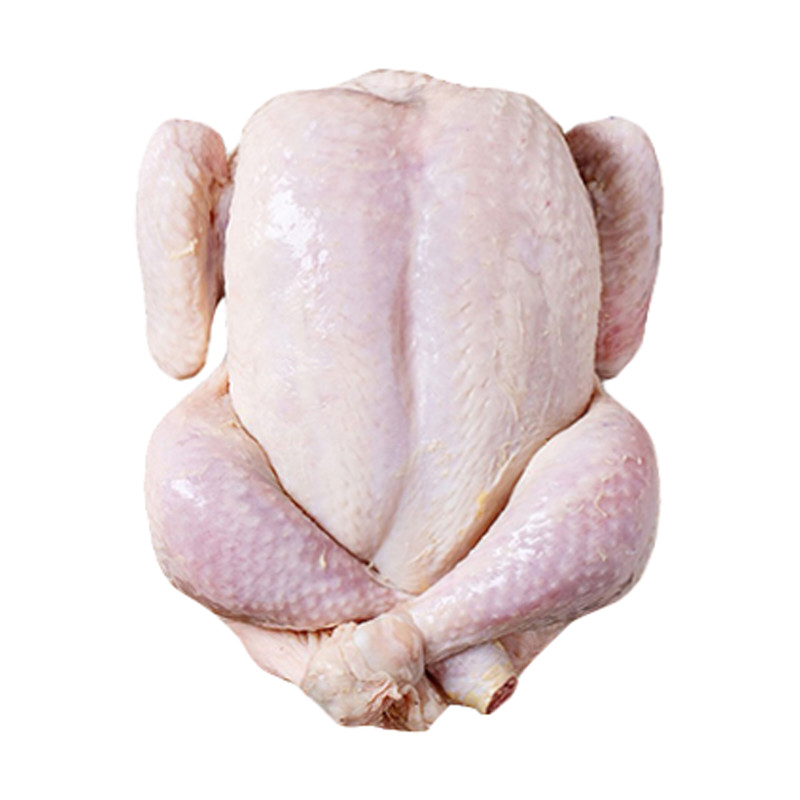 مرغ کشتار روز - 1.8 کیلوگرم