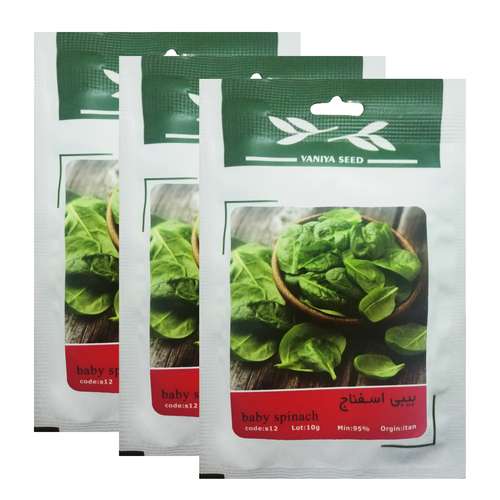 بذر بیبی اسفناج وانیا سید کد S12 مجموعه 3 عددی