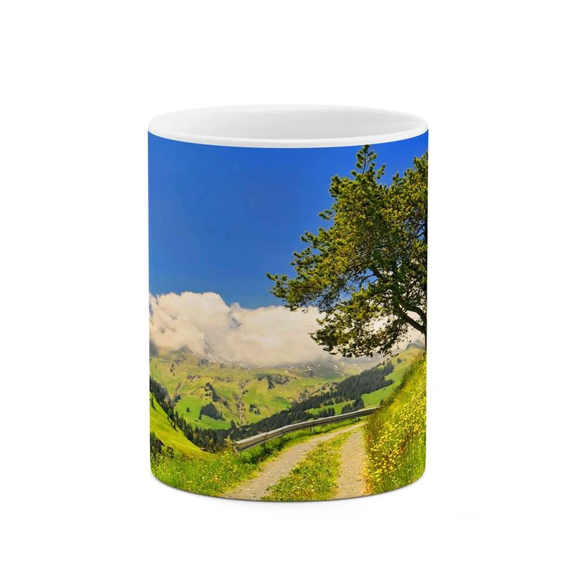 ماگ کاکتی مدل منظره کد mgh10776