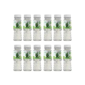 نوشیدنی آلوئه ورا آلا - 200 میلی لیتر بسته 12 عددی