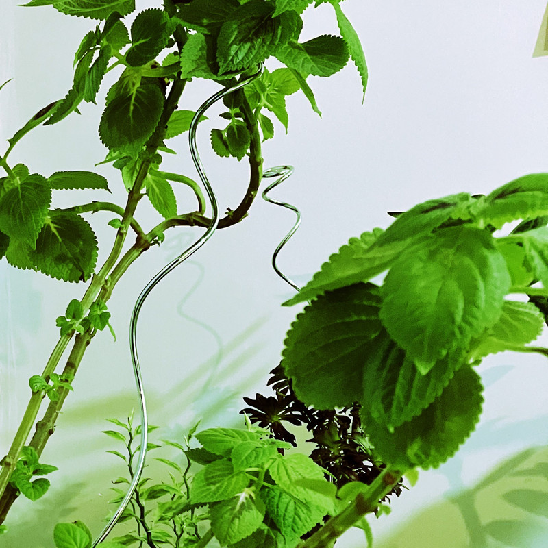 قیم بند مدل فلزی اسپایرال بسته 6 عددی