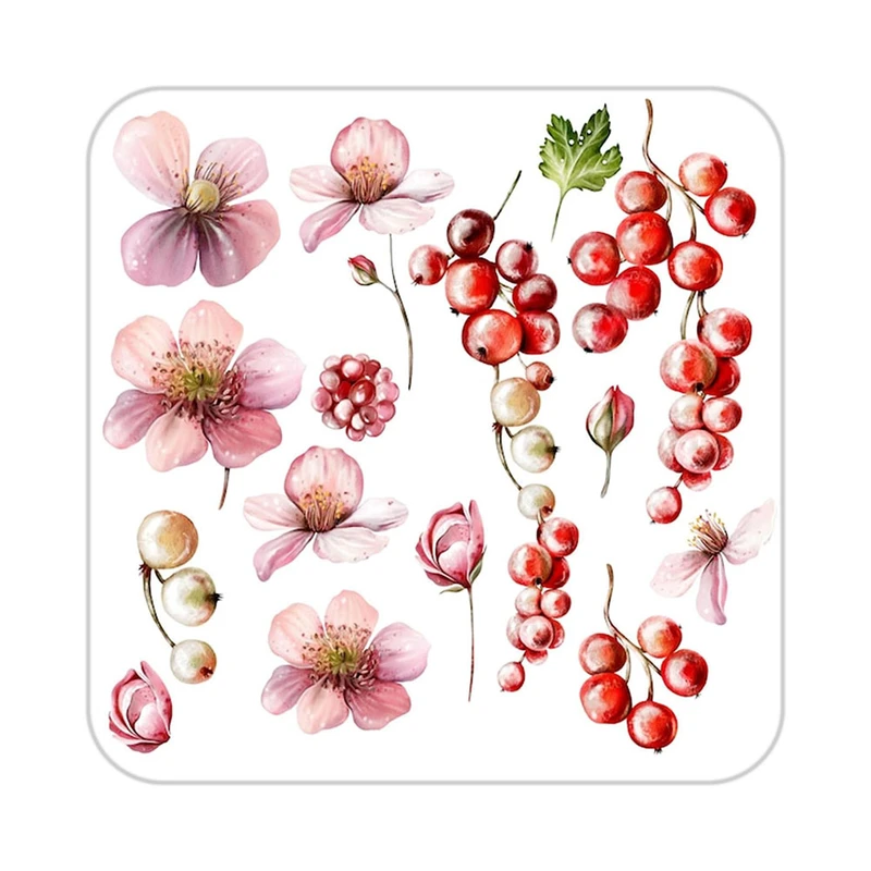 زیر لیوانی کاکتی طرح میوه مدل mp22658