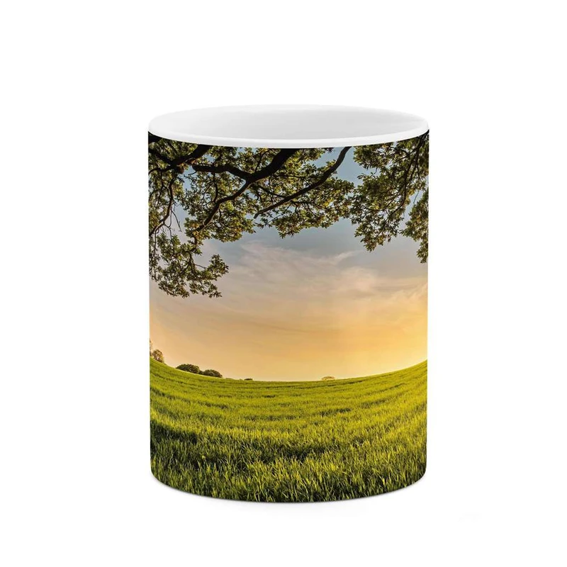 ماگ کاکتی مدل منظره کد mgh13222