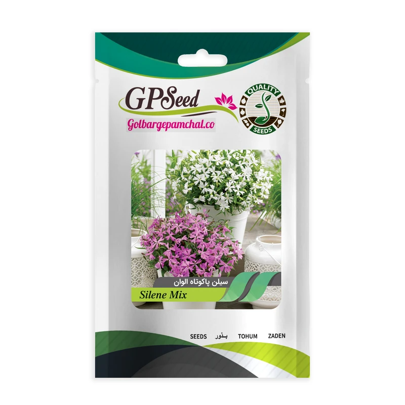 بذر گل سیلن الوان گلبرگ پامچال کد GPF-057