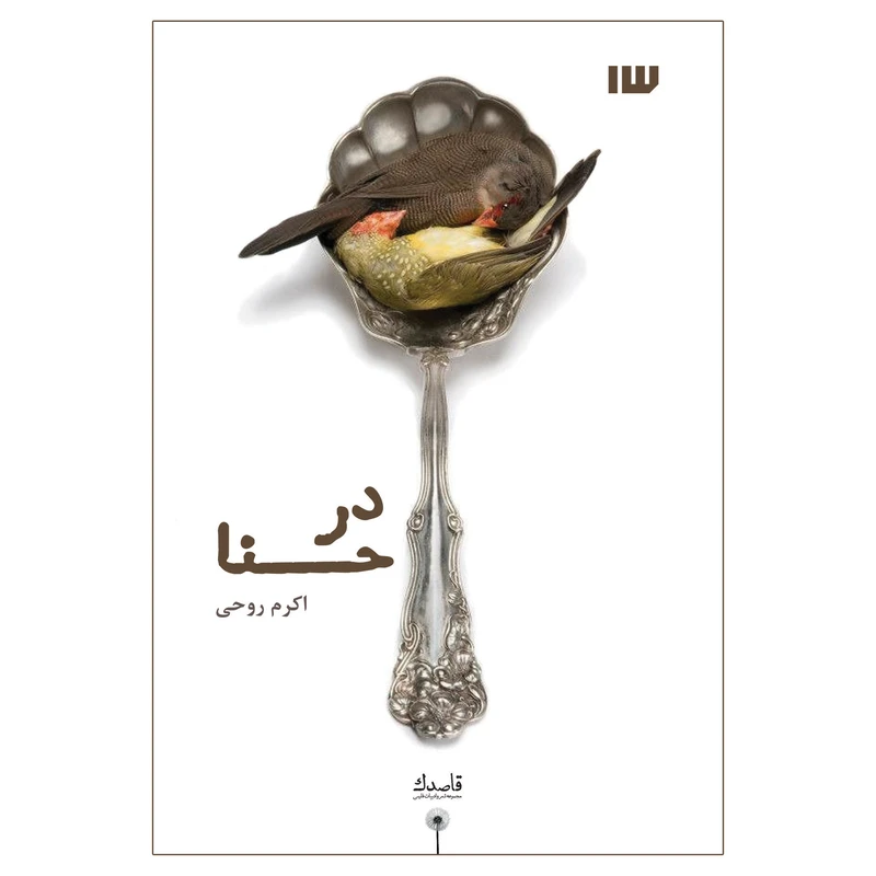 کتاب درحنا اثر اکرم روحی نشر سیزده