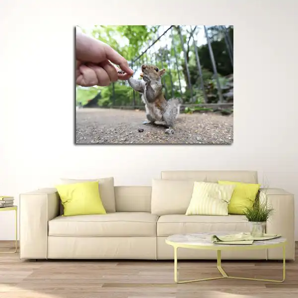 تابلو شاسی مدل سنجاب کد 9