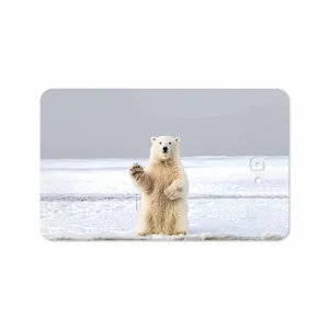 MAHOOT Polar bear Cover Sticker for Samsung Galaxy Tab A 10.1 2016 T580