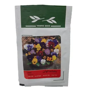 بذر گل بنفشه الوان وانیا سید مدل 062