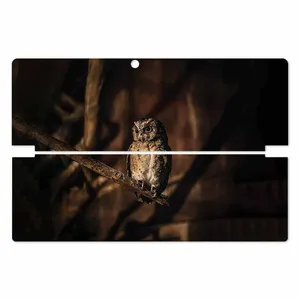 MAHOOT Owl Cover Sticker for Lenovo Miix 510 2016
