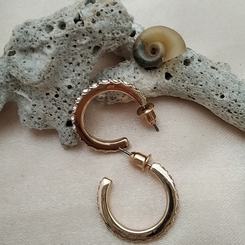 گوشواره زنانه اکسسورایز مدل حلقه ای کد  B76