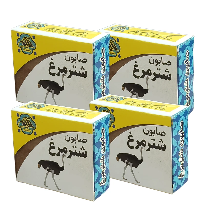 صابون شستشو  گیاهستان حکیم مدل شترمرغ وزن 70 گرم بسته 4 عددی