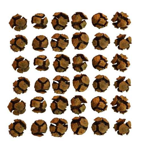 میوه تزیینی مدل کاج بسته 36 عددی