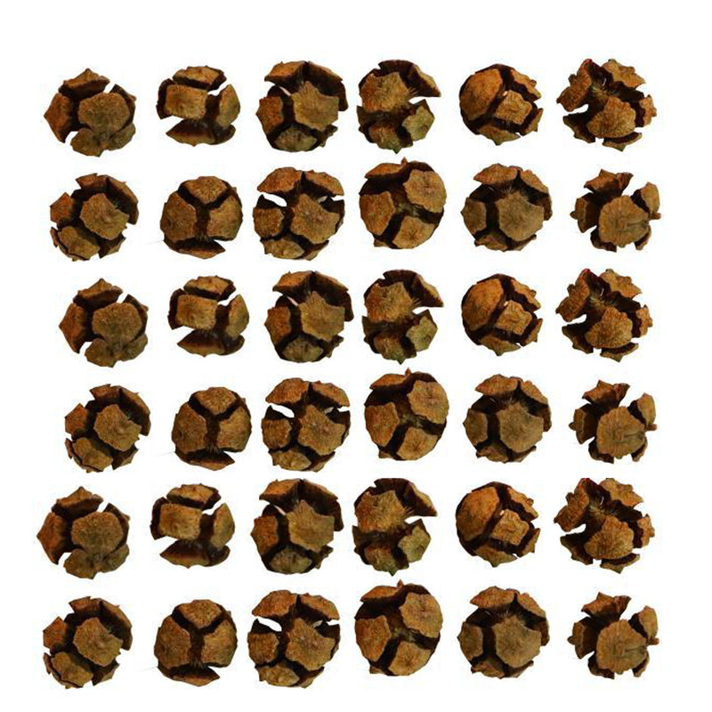 میوه تزیینی مدل کاج بسته 36 عددی