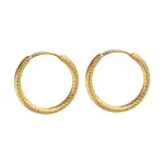 گوشواره طلا 18 عیار زنانه دوست خوب مدل dk527