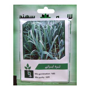 بذر تره ایرانی لاله سهند کد LSP-049