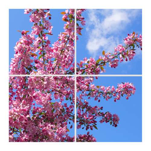 تایل سقفی آسمان مجازی مدل SK-451 سایز 60x60 سانتیمتر بسته 4 عددی