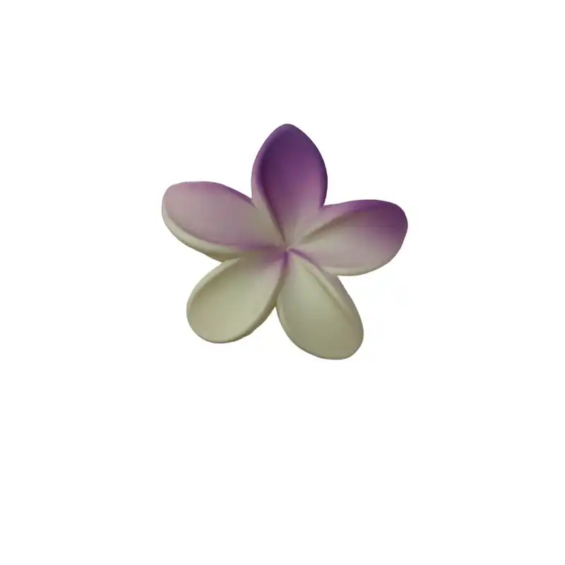 کلیپس مو زنانه مدل SD