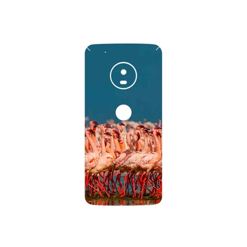 برچسب پوششی ماهوت مدل Flamingo مناسب برای گوشی موبایل موتورولا Moto G5 Plus