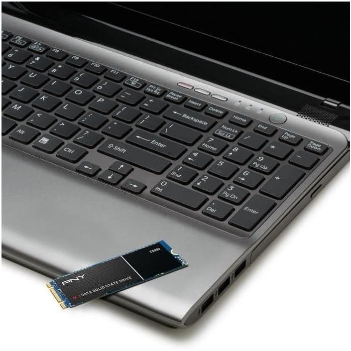 اس اس دی اینترنال پی ان وای مدل PNY CS900 ظرفیت 250 گیگابایت
