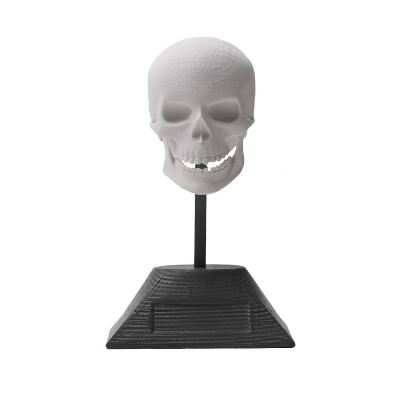 مجسمه طرح جمجمه مدل skull13s