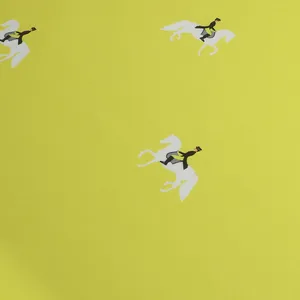   پارچه لباس مدل کرپ مازراتی طرحدار  کد 25