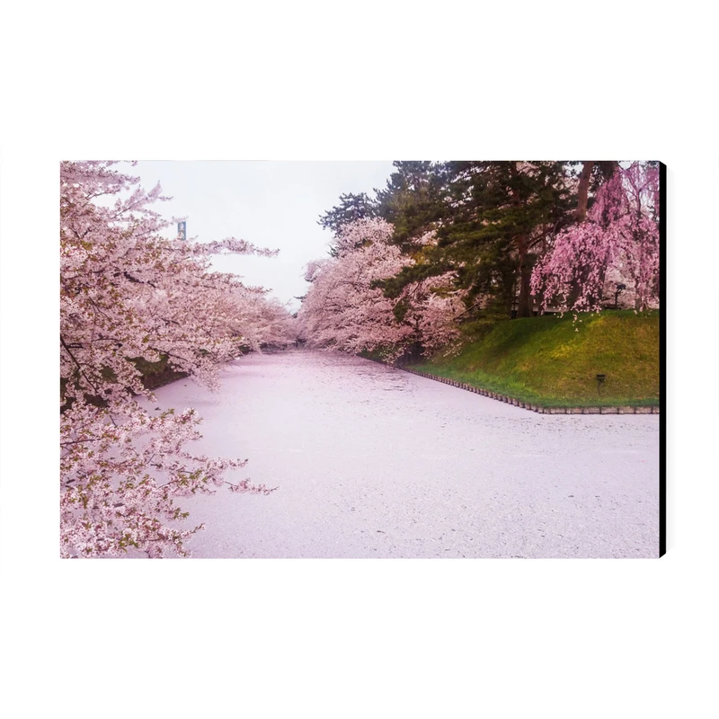 تابلو شاسی عرش طرح گردشگری ژاپن مدل جشنواره شکوفه‌های گیلاس پارک هیروساکی کد As6152