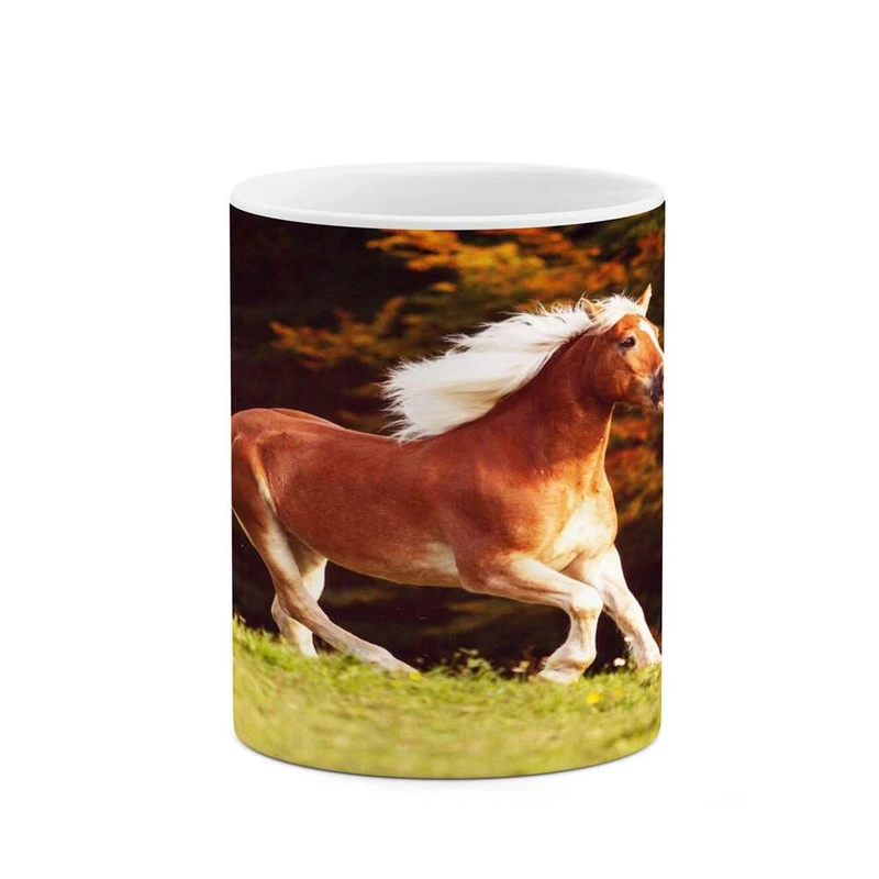 ماگ کاکتی مدل اسب کد mgh24276