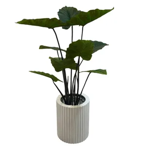 درختچه مصنوعی مدل باباآدم جنگلی