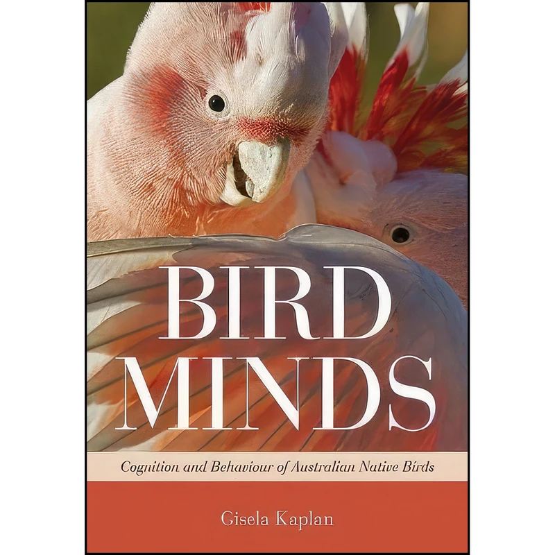 کتاب Bird Minds اثر Gisela Kaplan انتشارات CSIRO Publishing