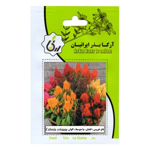 بذر تاج خروس افشان پا متوسط الوان آرکا بذر ایرانیان مدل C52