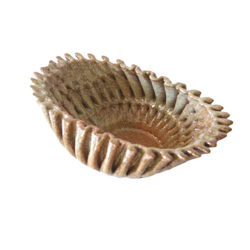 آجیل خوری سرامیکی مدل بُنسای کد BG02