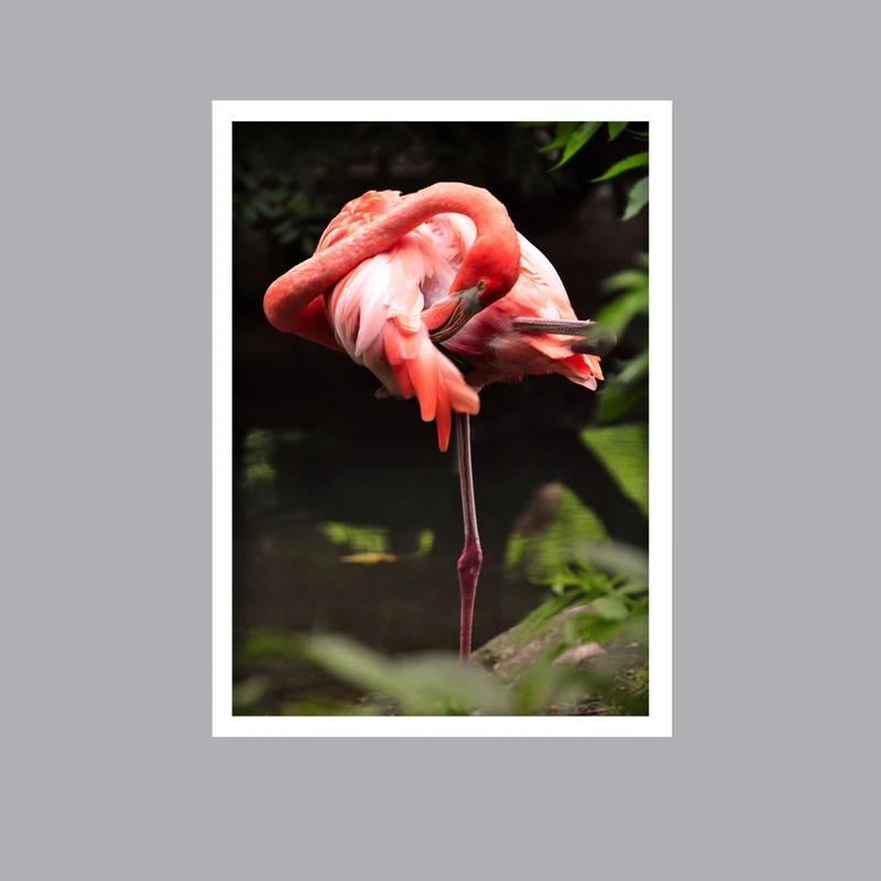 تابلو لیلیان طرح فلامینگو کد LA-G10212