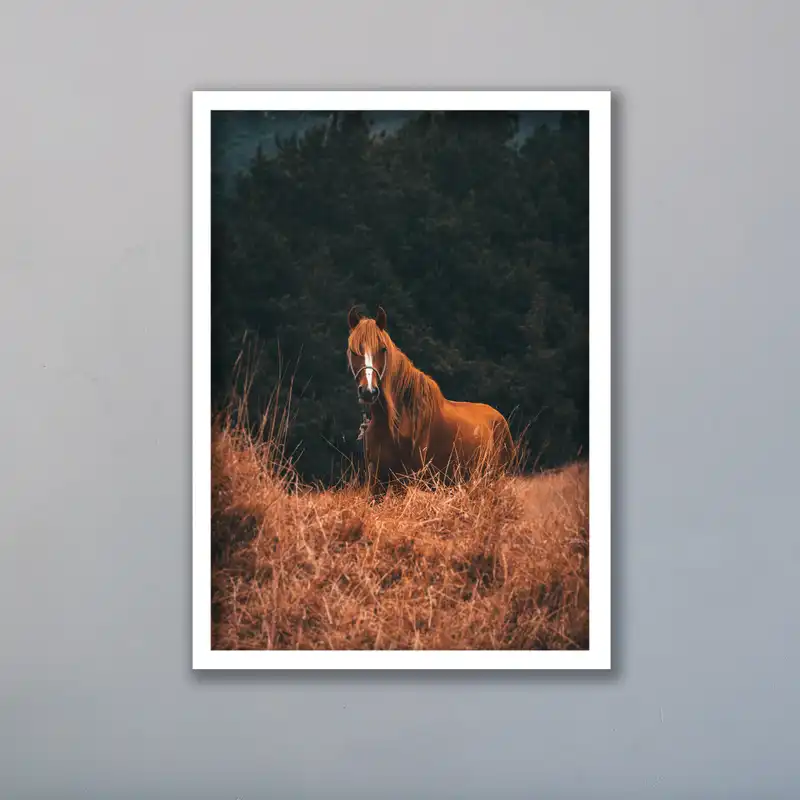 تابلو مدل اسب قهوه ای کد LA-G10232