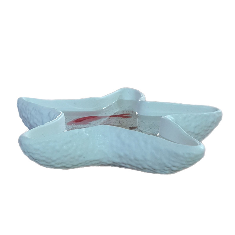 ظرف ماهی هفت سین مدل حوضچه طرح ستاره