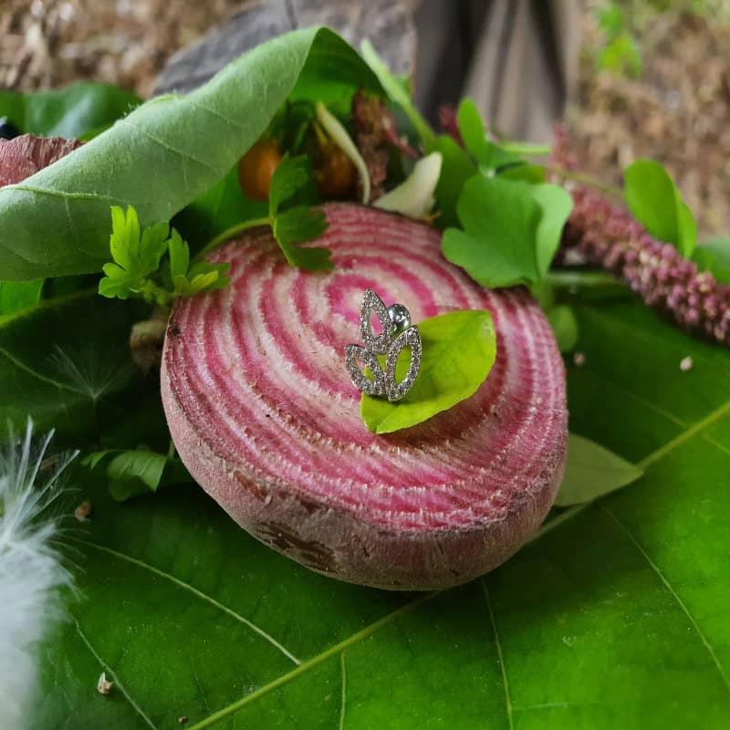 پیرسینگ گوش زنانه پایتخت مدل PS285