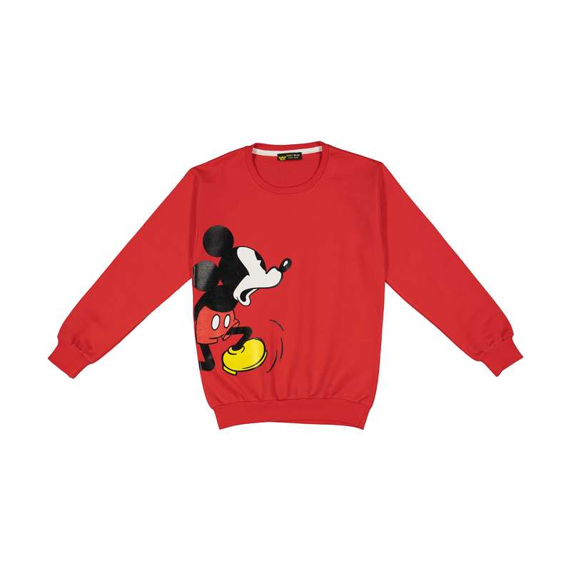 سویشرت پسرانه خرس کوچولو مدل 2011229-72