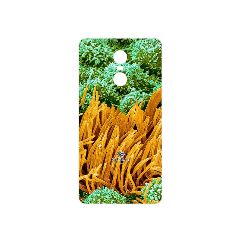 برچسب پوششی ماهوت مدل Atom Universe 6 مناسب برای گوشی موبایل شیائومی Redmi Pro