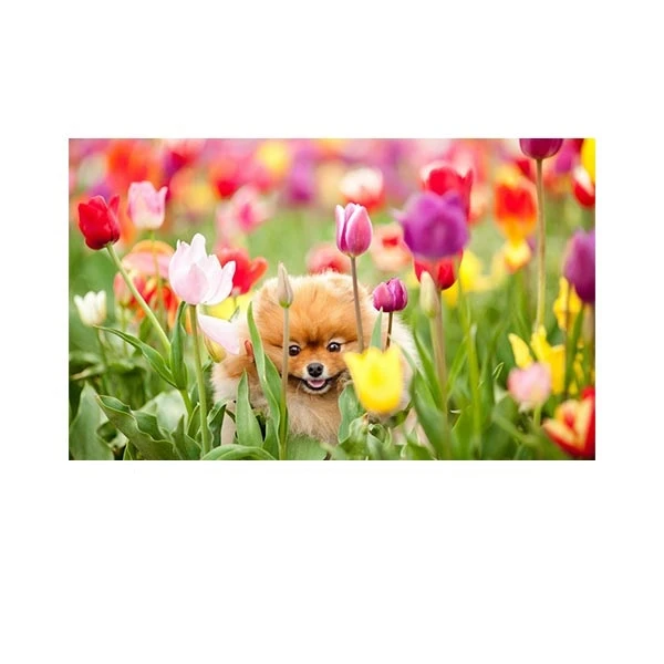   پادری مدل حیوانات کد HSHMA0062 سایز 76x46 سانتی متر