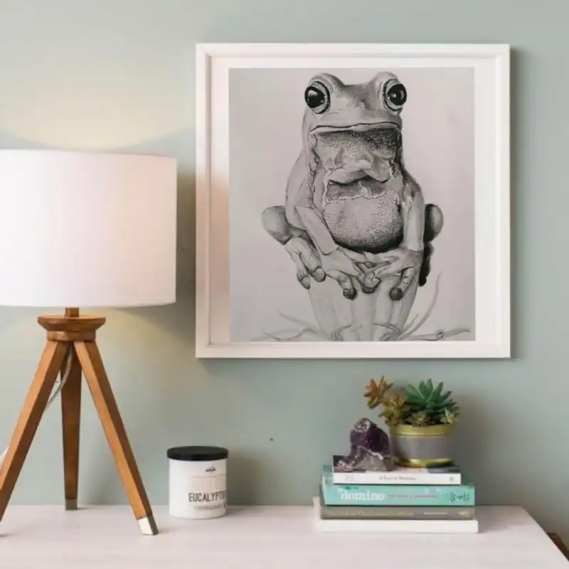 نقاشی سیاه قلم طرح قورباغه کد 22