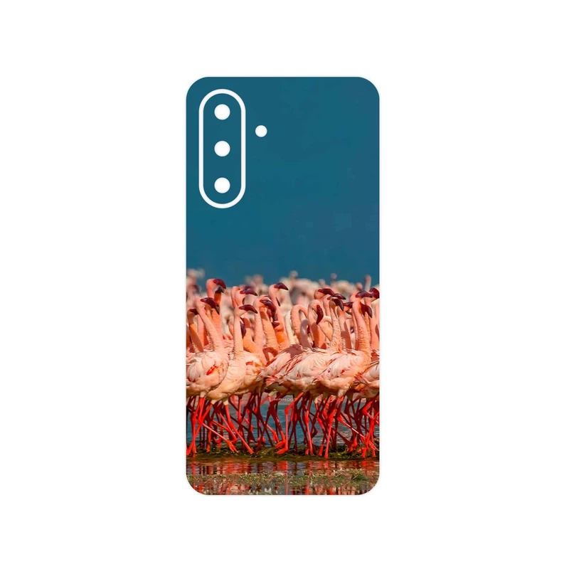 برچسب پوششی ماهوت مدل Flamingo مناسب برای گوشی موبایل سامسونگ Galaxy A26