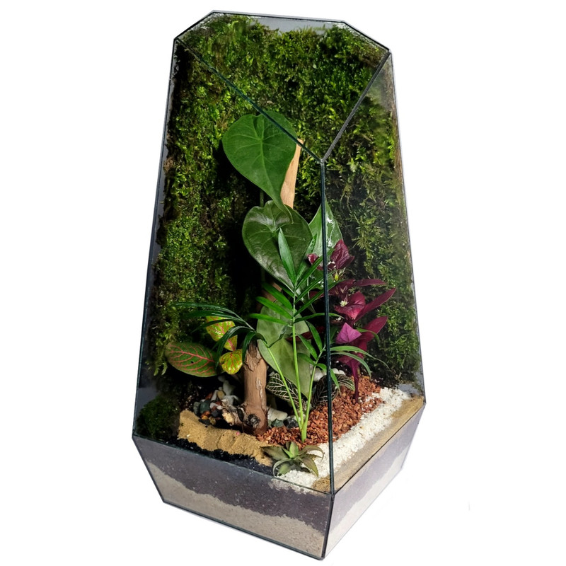 تراریوم ترارتوس مدل 01