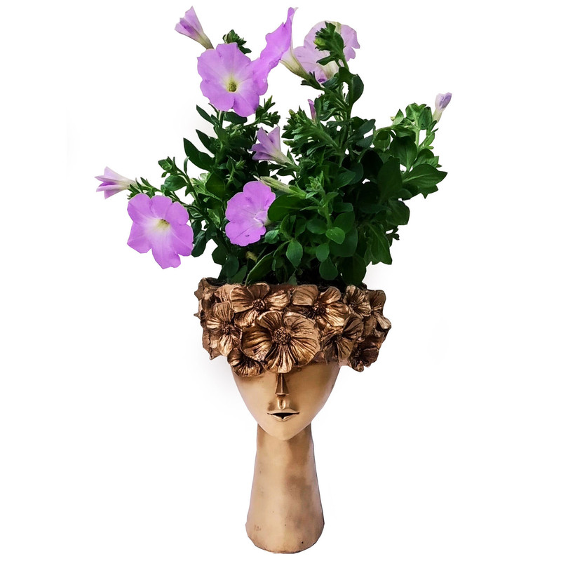 گیاه طبیعی گل اطلسی مدل C-11 گیاه طبیعی گل اطلسی مدل C-11