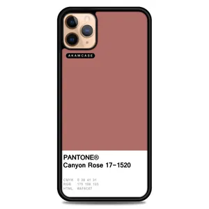 AKAM AMC-WA11PRO-PANTONE-17 Cover For Apple iPhone 11 Pro