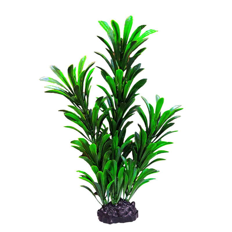گیاه تزیینی آکواریوم مدل 03