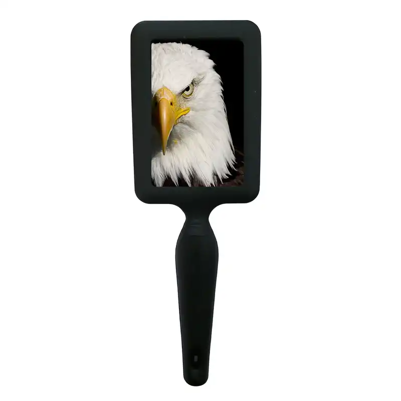 برس مو طرح عقاب مدل B1228