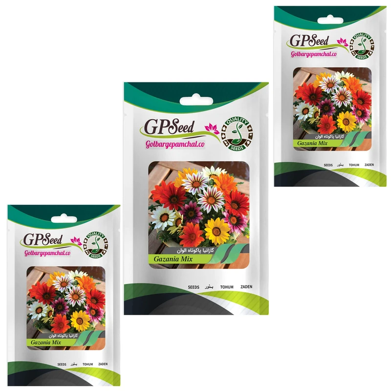 بذر گل گازانیا پاکوتاه الوان گلدانی گلبرگ پامچال کد GPF-072 مجموعه 3 عددی