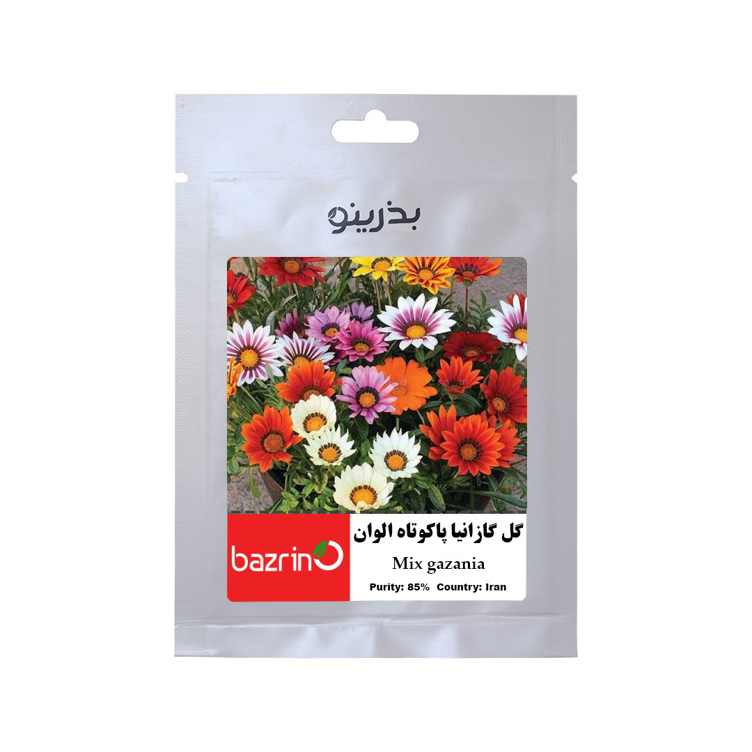 بذر گل گازانیا پاکوتاه الوان بذرینو کد BO-056