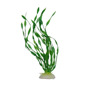 گیاه تزیینی آکواریوم مدل  گندمی 